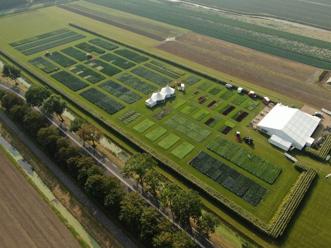 Всяка голяма иновация започва от някъде Именно към подобна промяна